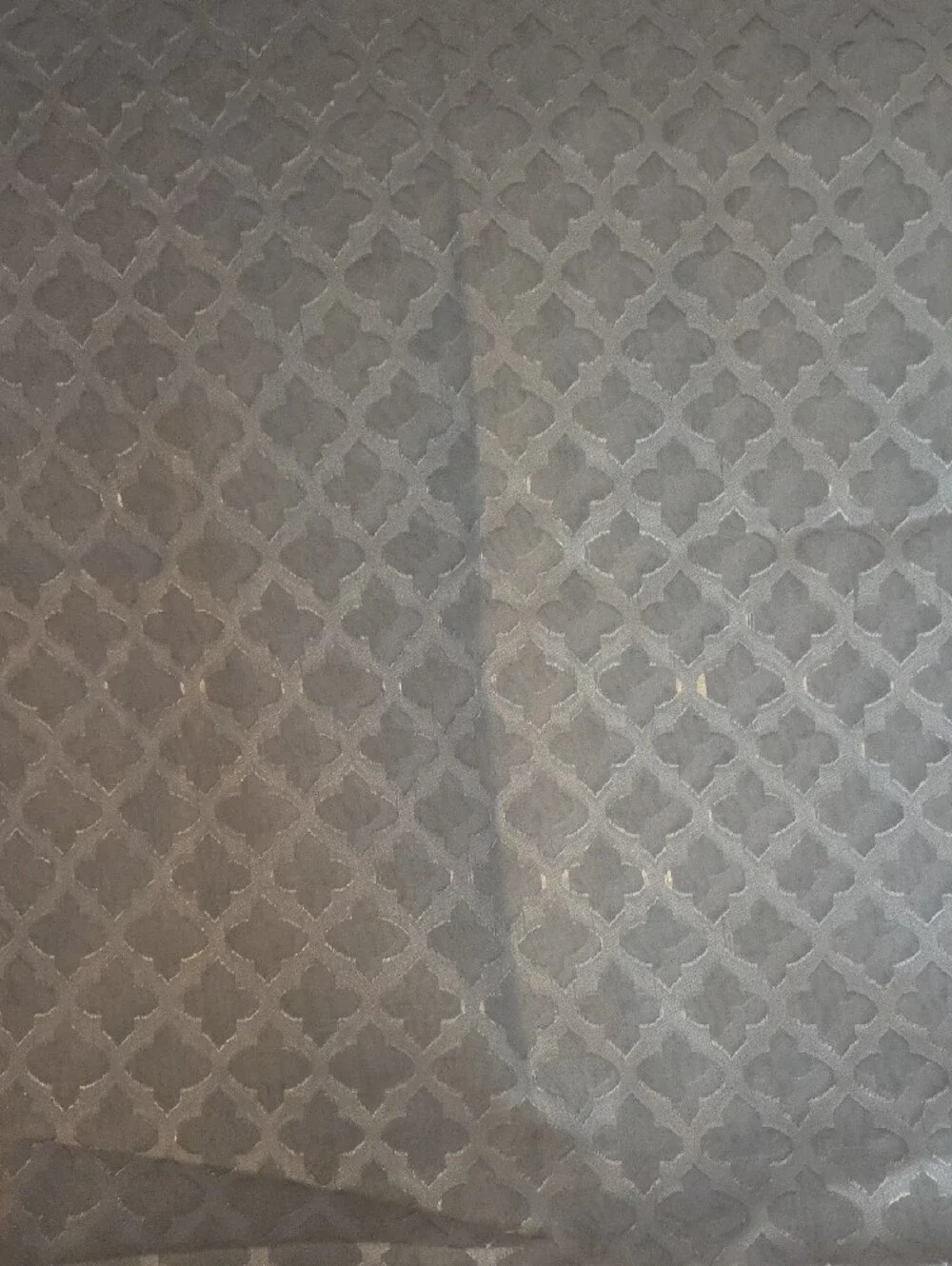Two Light Gray Sheer Curtain Panels
